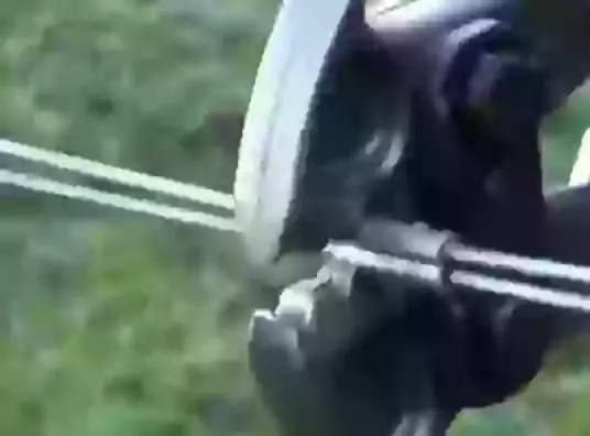 Crimps & Crimp Tools